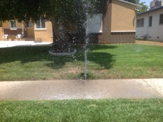 Broken Sprinkler Head