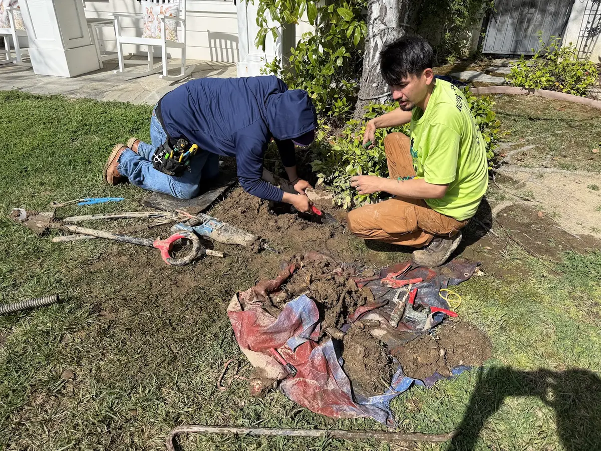 Crew repairing a sprinkler pipe broken by tree roots in a backyard lawn