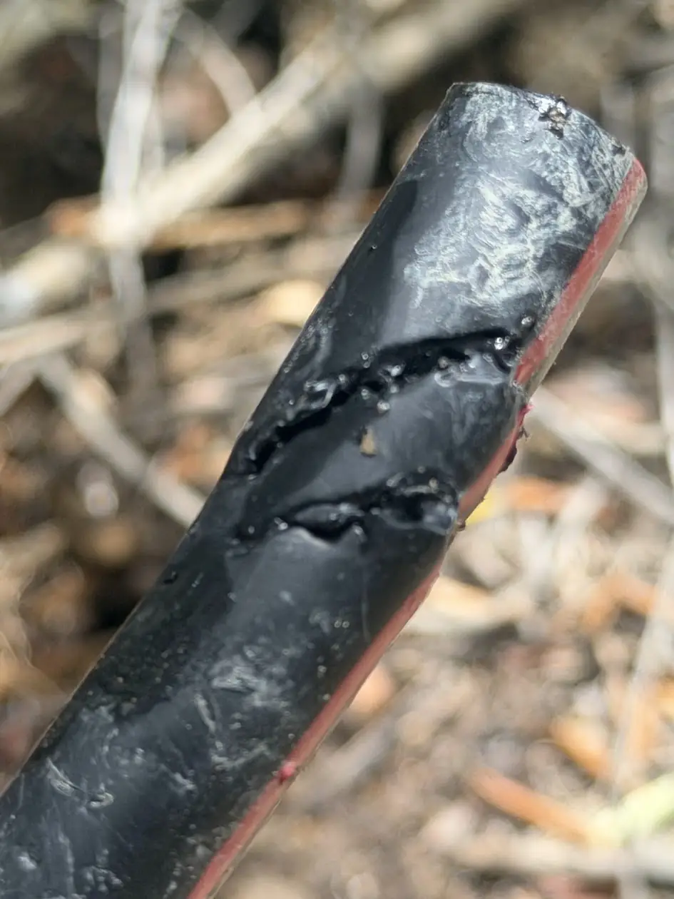 Drip irrigation line chewed through by animals