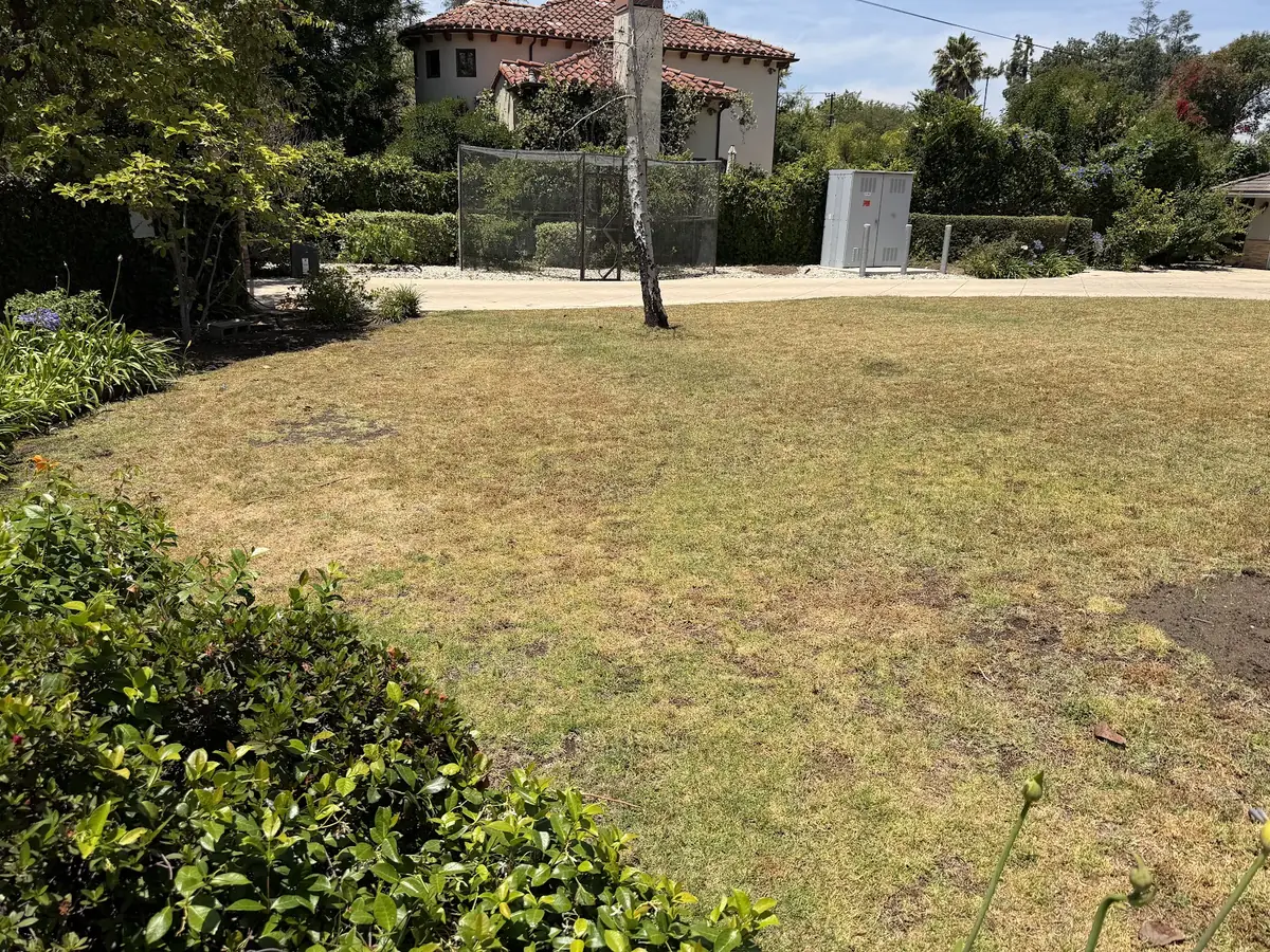 Dry, patchy lawn caused by broken sprinklers, before repair