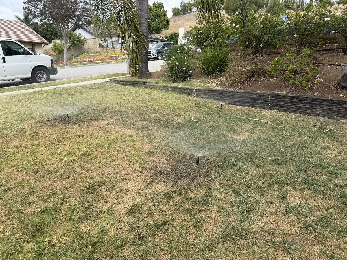 Front-lawn spray heads watering evenly after sprinkler repair
