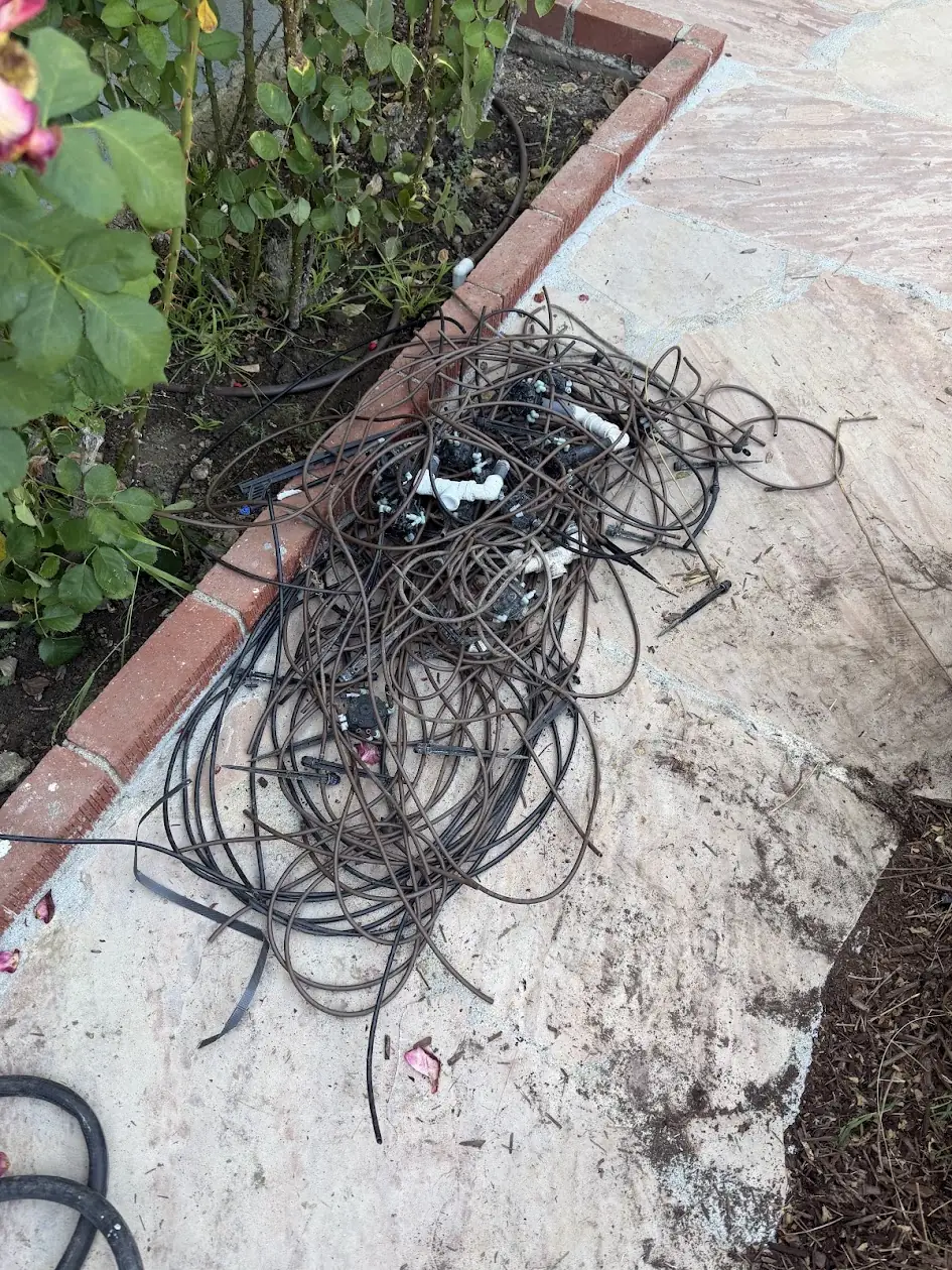 Old drip tubing pulled out of a planter bed for replacement