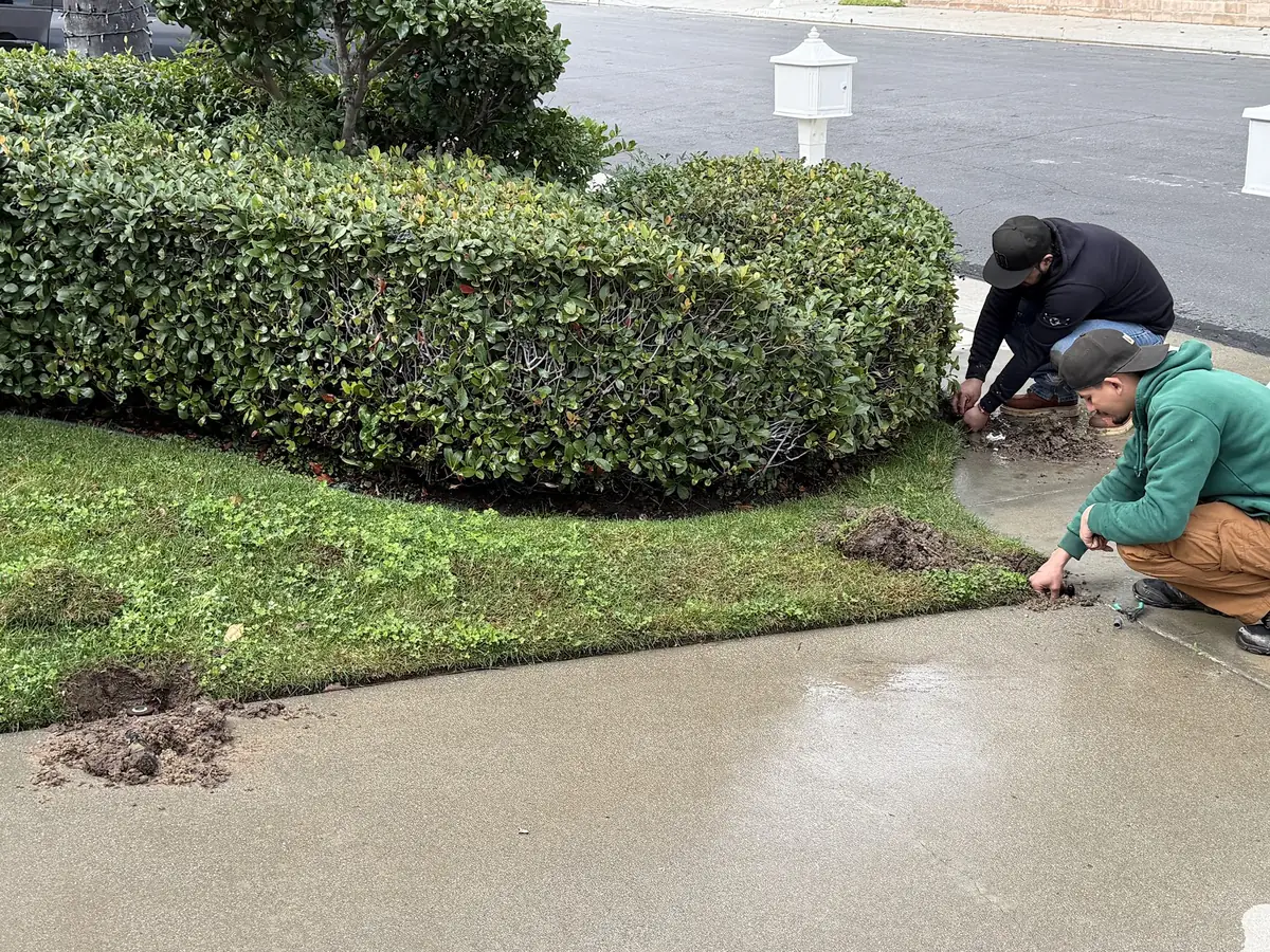 Two Valley Sprinkler Repair technicians replacing sprinkler heads along a front-yard driveway