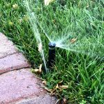 Broken Sprinkler Head